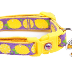 May include: A purple and yellow cat collar with a lemon print and a silver charm with a lemon slice and a purple bell.