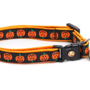 May include: Black and orange dog collar with a pumpkin pattern and a pumpkin-shaped charm.