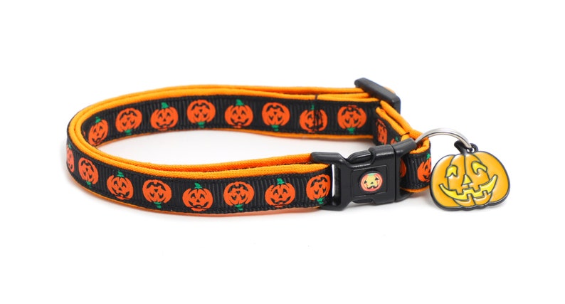 May include: Black and orange dog collar with a pumpkin pattern and a pumpkin-shaped charm.