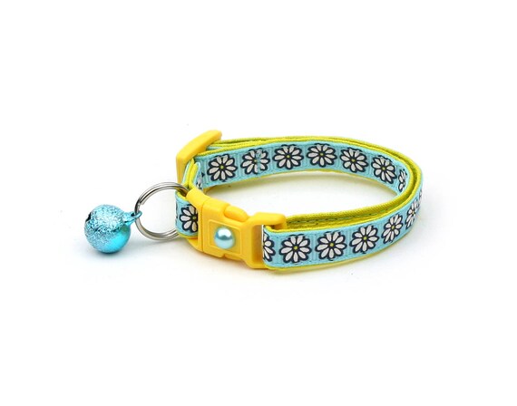 light blue cat collar