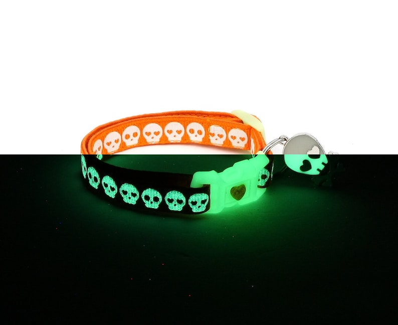 glow in the dark kitten collar