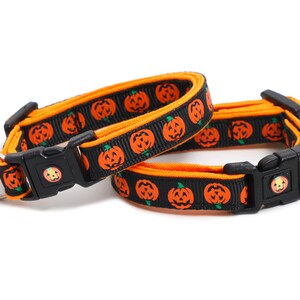 May include: Two black and orange cat collars with a pumpkin pattern. One collar has a pumpkin-shaped bell and the other has a pumpkin-shaped charm.