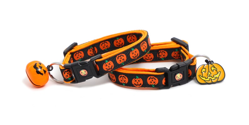 May include: Two black and orange cat collars with a pumpkin pattern. One collar has a pumpkin-shaped bell and the other has a pumpkin-shaped charm.