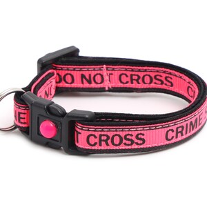 May include: Pink dog collar with black text that reads "DO NOT CROSS CRIME".