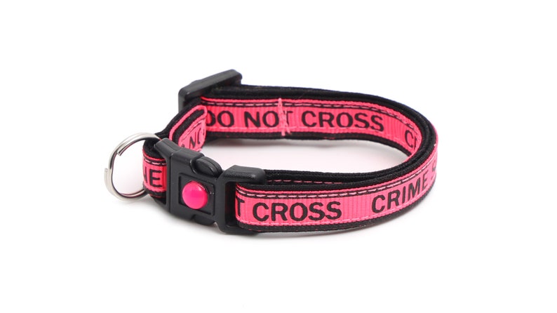 May include: Pink dog collar with black text that reads "DO NOT CROSS CRIME".