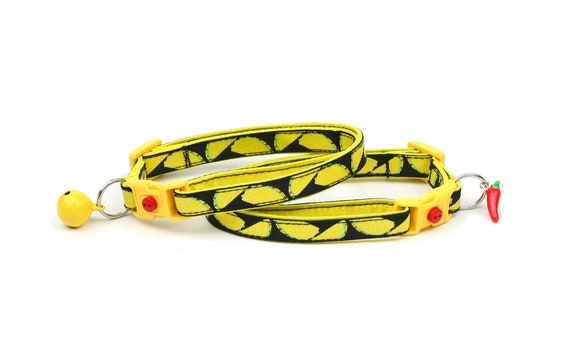 taco cat collar