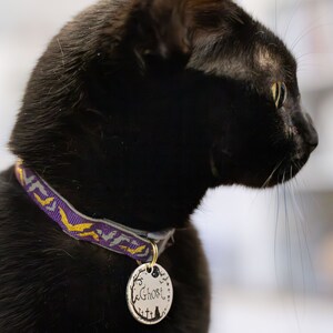 Pu&ograve; includere: Un gatto nero con un collare viola e oro e un'etichetta argentata che dice "Ghost". Il gatto sta guardando a destra.