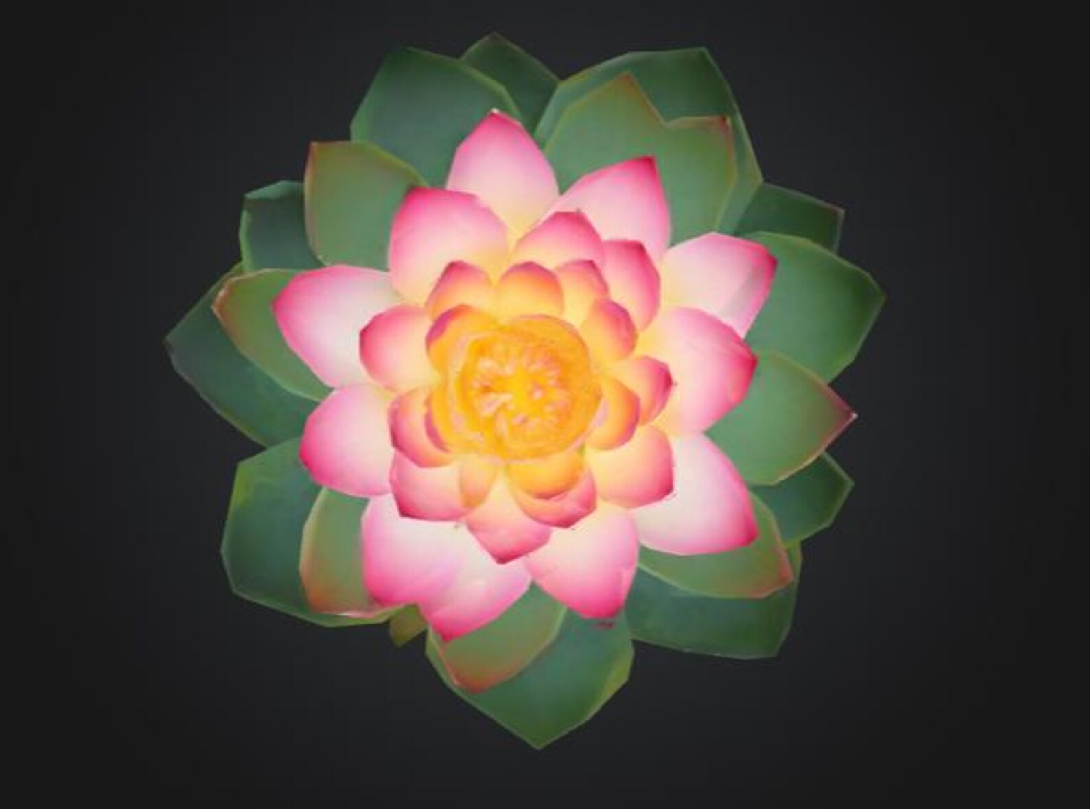 Lotus Flower- 3D Printer File Download - Etsy