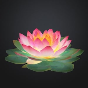 May include: A vibrant lotus flower with pink petals, yellow center, and green leaves. The flower is set against a dark background, highlighting its colors and details. The image showcases a botanical theme.