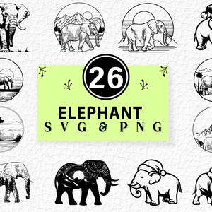 Elephant SVG Bundle, Safari Animal Silhouette PNG, Zoo Clipart, Baby Cricut Cut Files, Vector Art