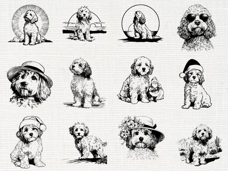 Cavapoo Silh Cavapoo Dog Silhouette, SVG PNG Clipart Bundle - Etsy