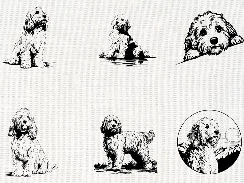 Cockapoo Dog Silhouette SVG Bundle | Cockapoo Puppy PNG Cricut - Etsy UK