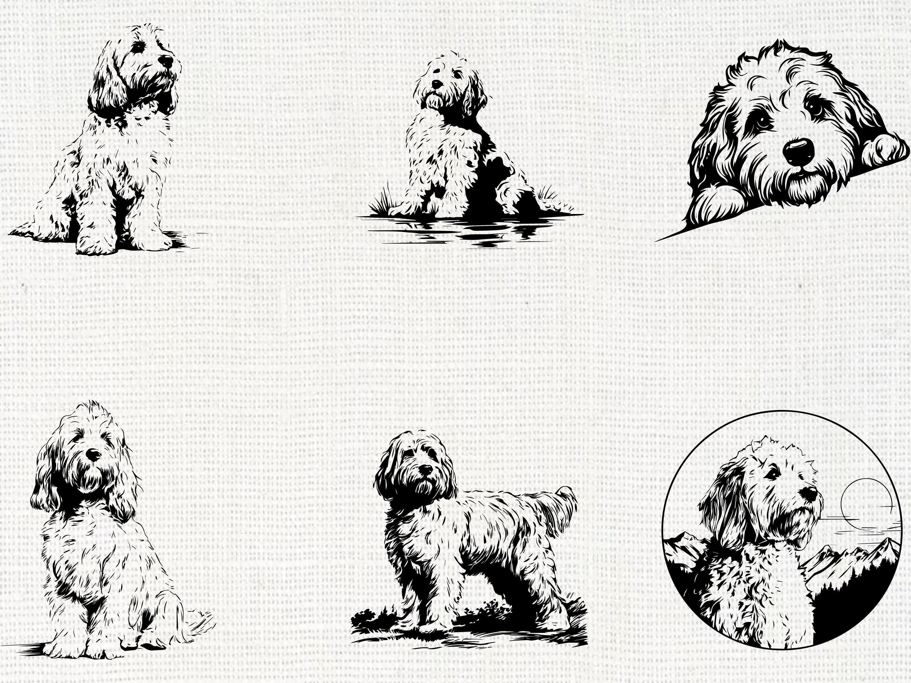 Cockapoo Cricut Cockapoo Dog Silhouette SVG Bundle | Cockapoo Puppy PNG Cricut - Etsy UK