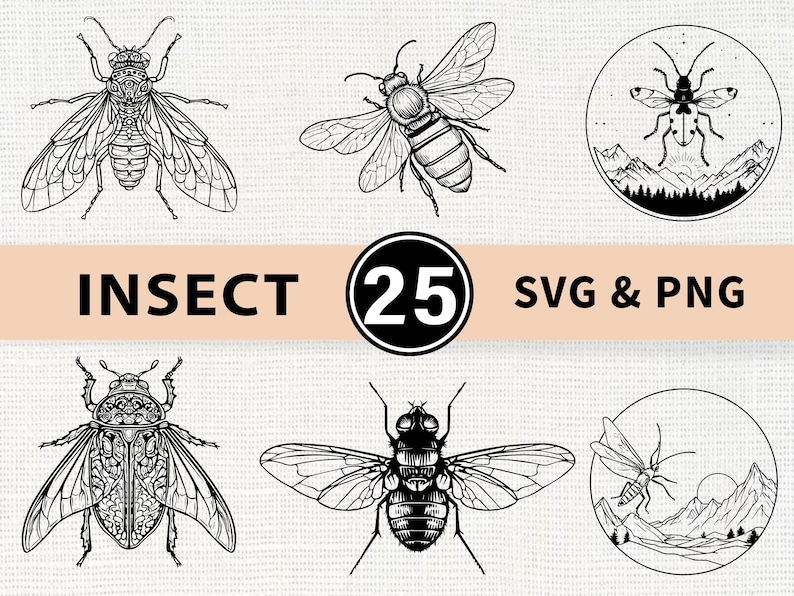Insect SVG PNG Bundle, Bug Nature Clipart, Cricut Cut Files - Etsy