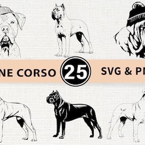 May include: Black and white line art illustrations of Cane Corso dogs in various poses. Some dogs wear beanies. The text "CANE CORSO" and "25 SVG & PNG" are also present in the image.