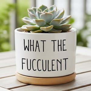 Könnte beinhalten: Ein weißer Keramik-Pflanztopf mit dem Text "WHAT THE FUCCULENT" in schwarzer Schrift. Er enthält eine Sukkulentenpflanze mit grünen und blau-grünen Blättern. Der Topf steht auf einer Holzuntertasse.