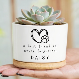 Puede incluir: Maceta de cerámica blanca con una planta suculenta. La maceta tiene un diseño de corazón y huella de pata con el texto "a best friend is never forgotten DAISY". Se asienta sobre una base de madera.