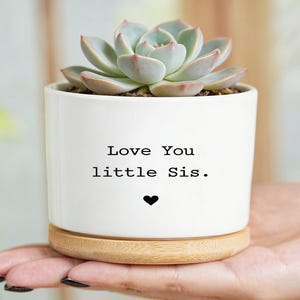 May include: A white ceramic planter with a succulent plant. The planter has the text "Love You little Sis." and a black heart. The planter sits on a wooden base.