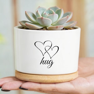 Puede incluir: Una maceta de cerámica blanca con una planta suculenta. La maceta tiene una base de madera y presenta un diseño de corazón negro con la palabra "hug". La suculenta tiene hojas verdes y rosas.