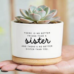 May include: A white ceramic planter with a succulent plant. The planter has the text "THERE IS NO BETTER FRIEND THAN A sister AND THERE'S NO BETTER SISTER THAN YOU." The planter sits on a wooden base.