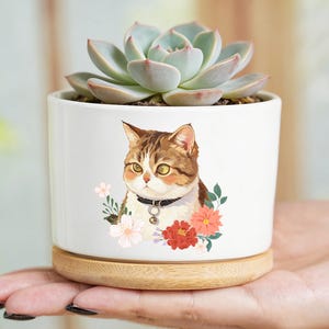 Pode incluir: Um vaso cilíndrico de cerâmica branca com base de madeira clara, contendo uma suculenta verde. A frente do vaso apresenta uma ilustração gráfica de um gato malhado castanho e branco com uma coleira preta, rodeado por flores cor-de-rosa e vermelhas.