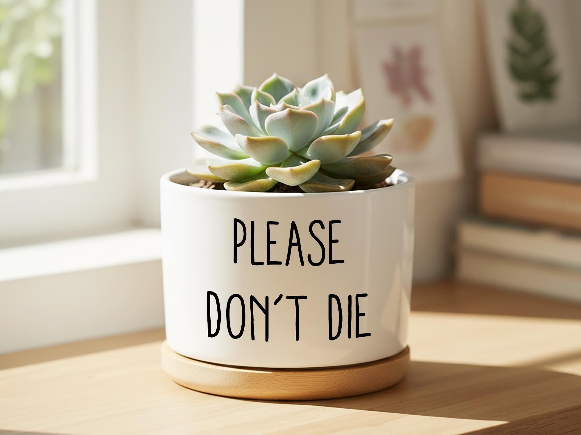 Personalized Flower Pots, Funny Succulent Pot,ceramic Pot With Drainage ...