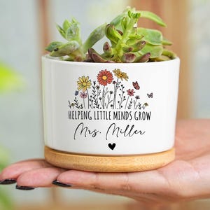 Puede incluir: Maceta de cerámica blanca con diseño floral y el texto "Helping Little Minds Grow Mrs. Miller". La maceta se asienta sobre una base de madera y contiene una planta suculenta. También aparecen mariposas y flores.