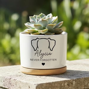 Puede incluir: Maceta de cerámica blanca con una planta suculenta. La maceta presenta una silueta de perro negra, el nombre "Alycia", la frase "NEVER FORGOTTEN" y un símbolo de corazón. Se asienta sobre una base de madera.