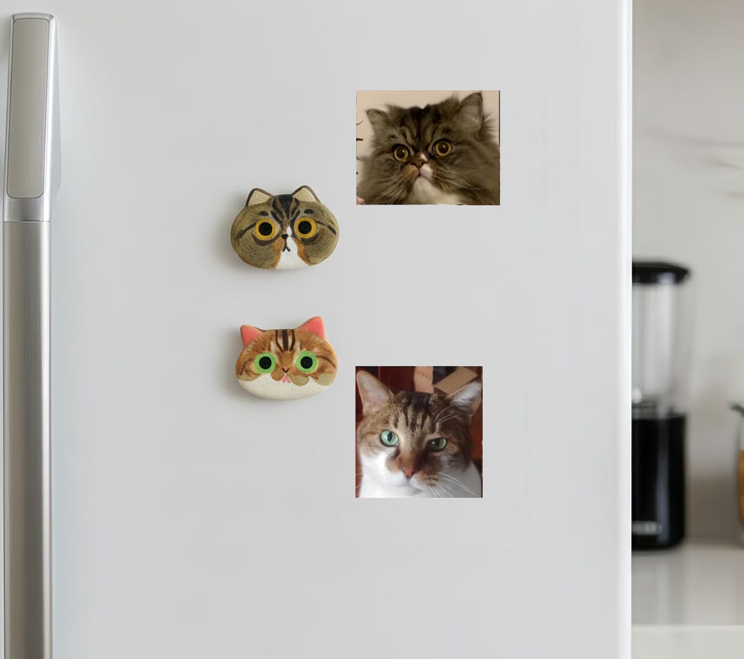 Custom Cat Face Fridge Magnet, Personalized Clay Pet Portrait - Etsy