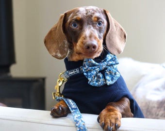 Ribbed Dachshund Jumper