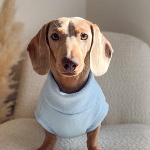Dachshund Fleece Jumper image 2
