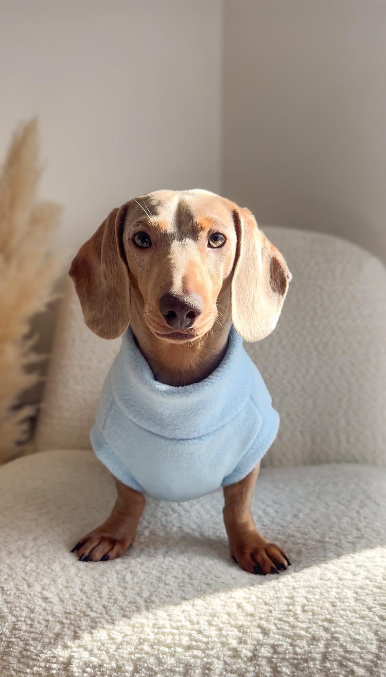 Dachshund Fleece Jumper image 2