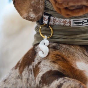 Ribbed Dog Snood | Dachshund Sausage Dog Clothes | Multiple Colours Available bild 5