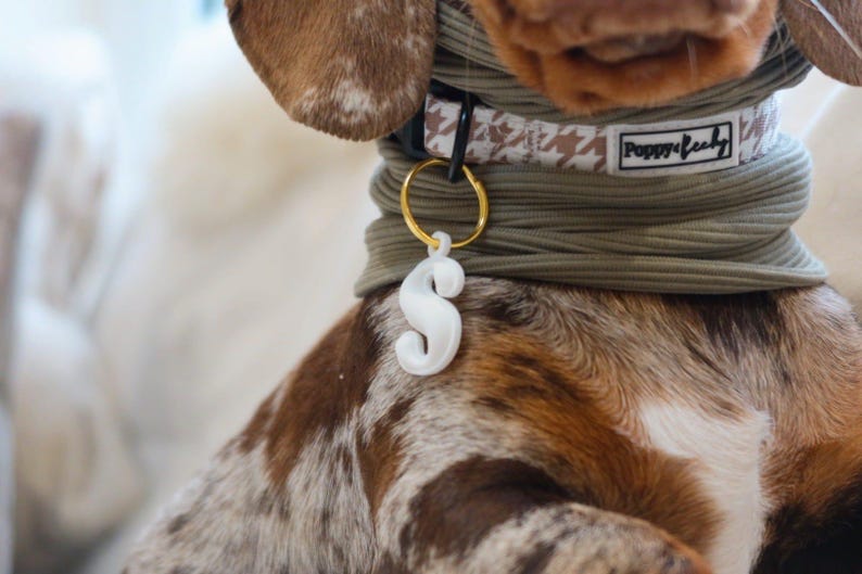 Ribbed Dog Snood | Dachshund Sausage Dog Clothes | Multiple Colours Available bild 5