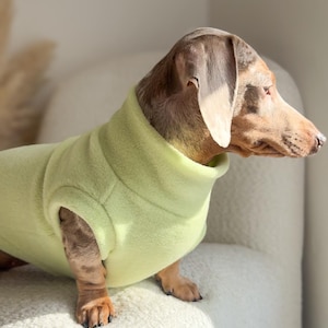 Dachshund Fleece Jumper image 3