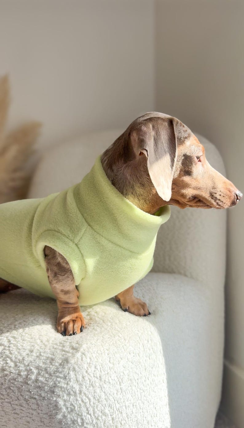 Dachshund Fleece Jumper image 3
