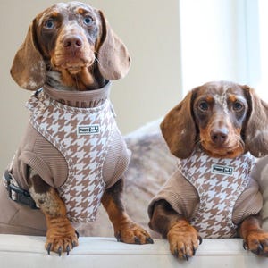 May include: Two Dachshund dogs wearing matching brown and white houndstooth pattern harnesses. The dogs have brown and white fur and are sitting on a white surface. The harnesses have the text "Puppy-Lady".