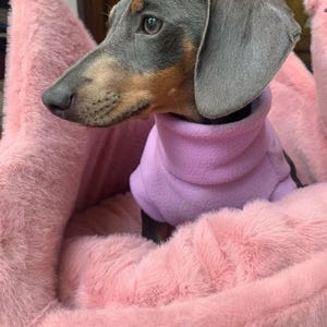 May include: A Dachshund dog with gray fur and a brown snout wearing a light purple fleece hoodie. The dog is nestled in a fluffy, pink pet bed with a soft, plush texture, creating a cozy and comfortable environment.
