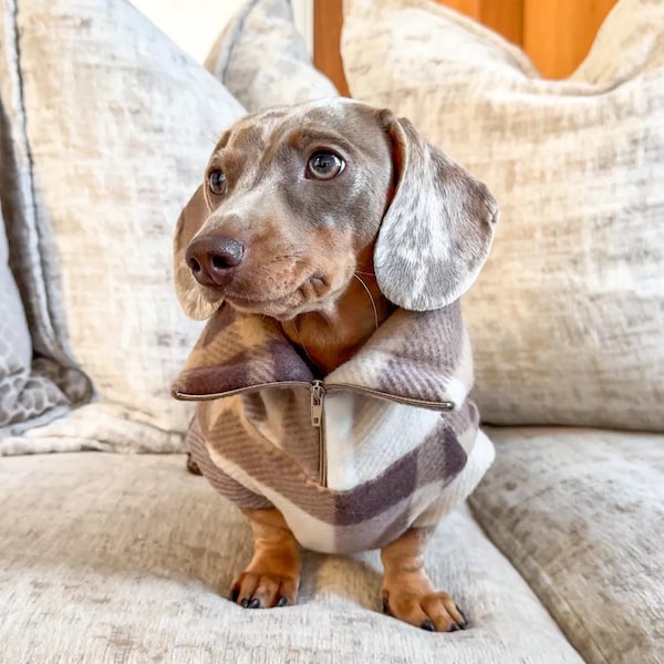 Polar Dachshund con cremallera de 1/4 a cuadros