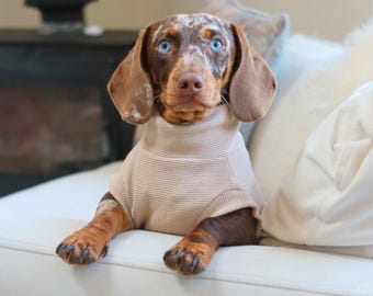 Ribbed Dachshund Jumper - Beige | Sausage Dog Clothes | Daxie | Doxie