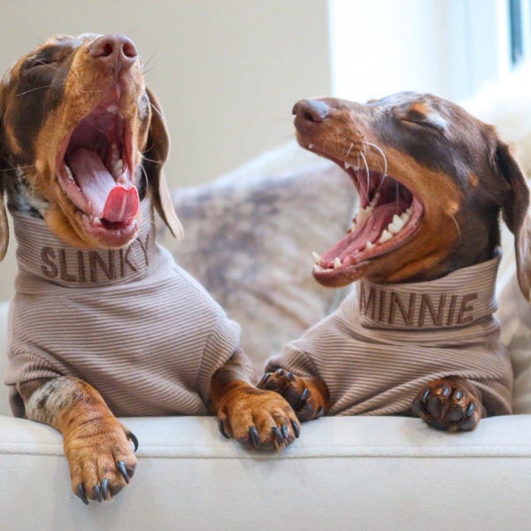Personalised Ribbed Dachshund Jumper - Neck Embroidery