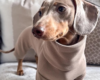 Ribbed Dachshund Bodysuit / Four Leg Suit - Various Colours | Sausage Dog Clothes - New Colours