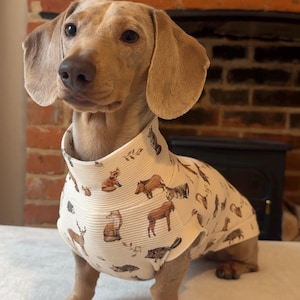 May include: A Dachshund dog wearing a cream turtleneck shirt with a repeating pattern of woodland animals in brown and tan. The dog is sitting on a white surface in front of a brick fireplace.