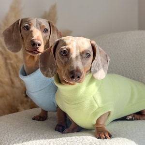 Dachshund Fleece Jumper image 1