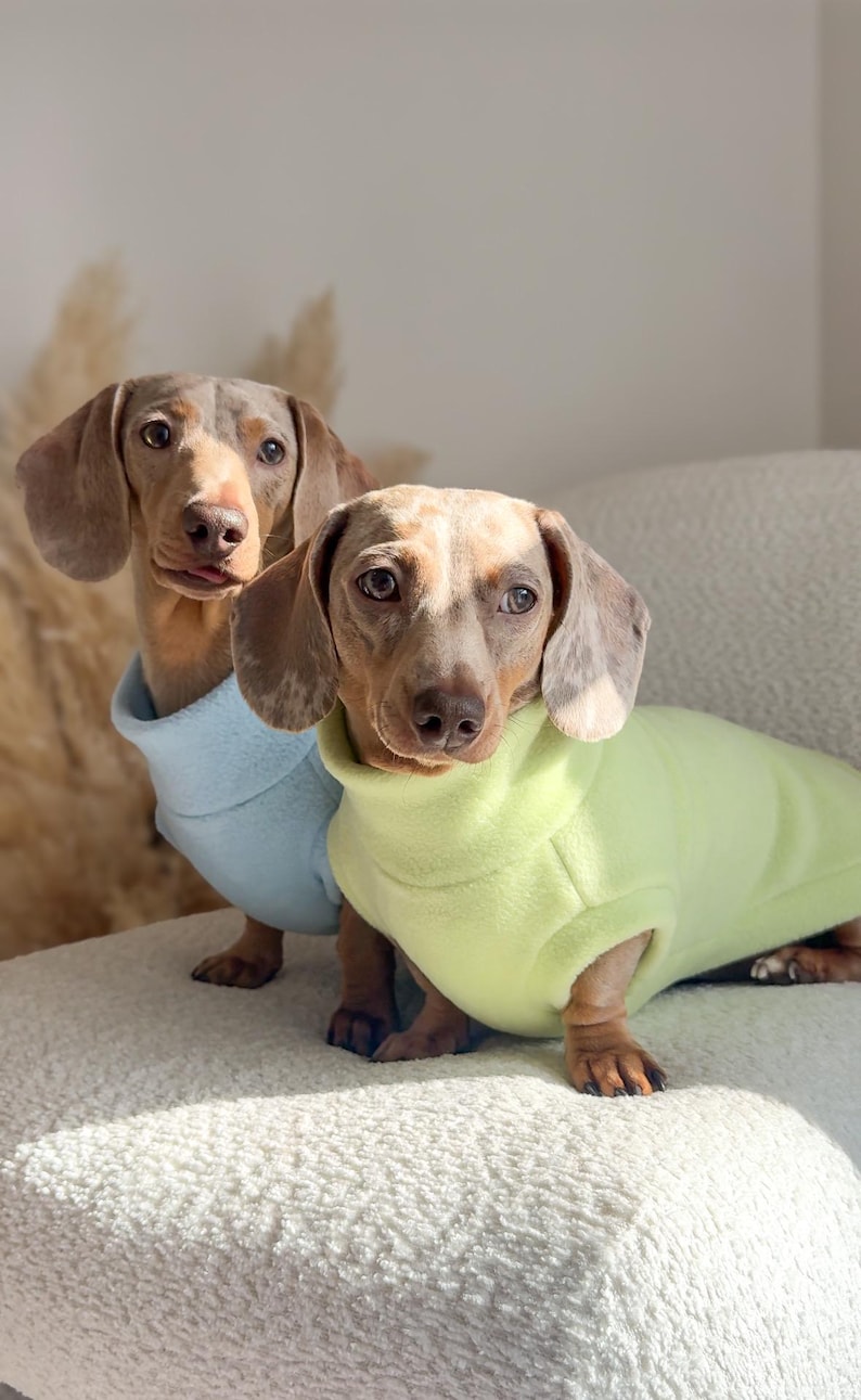 Dachshund Fleece Jumper image 1