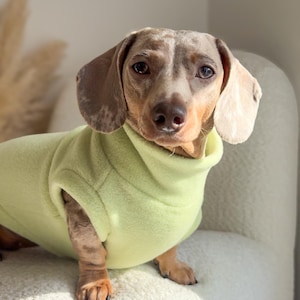 Dachshund Fleece Jumper image 6