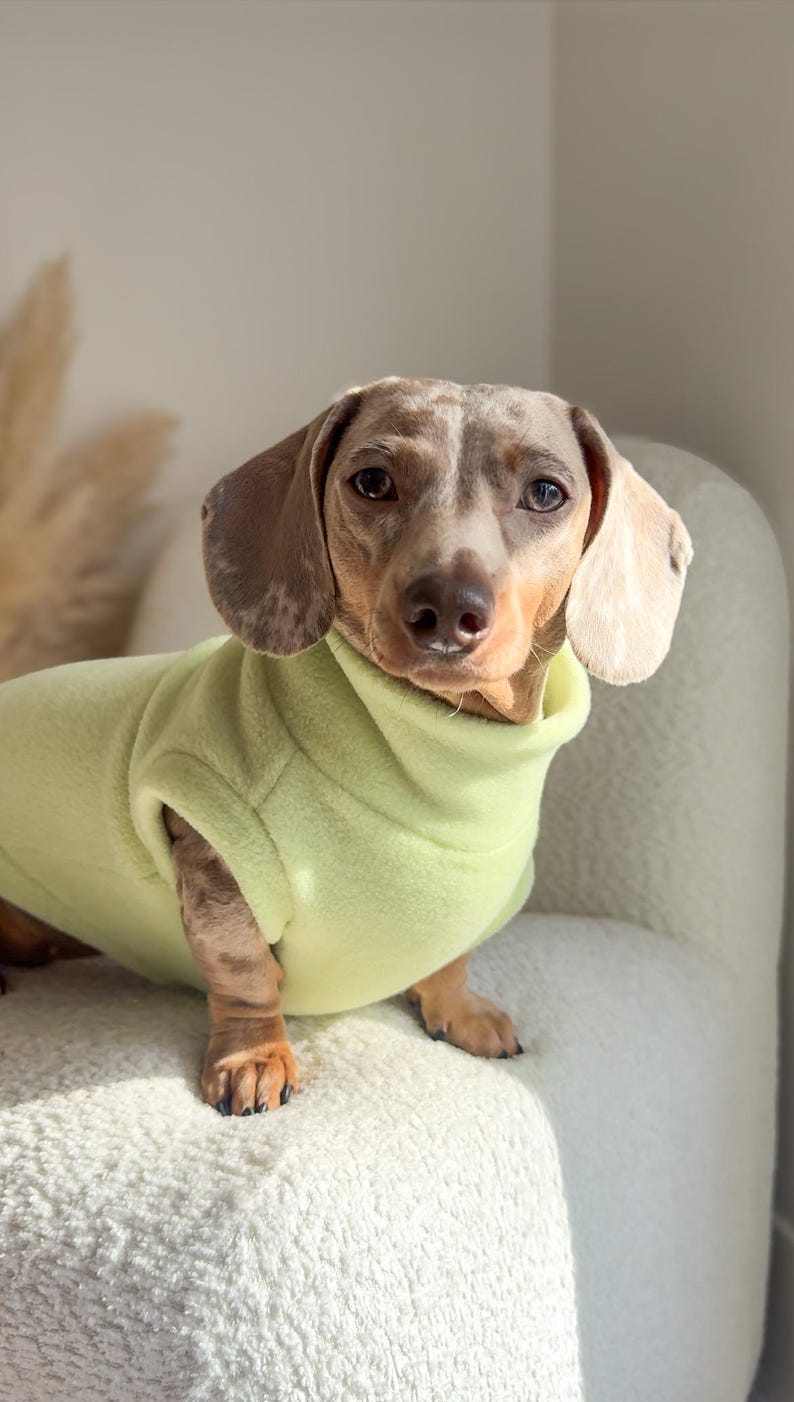 Dachshund Fleece Jumper image 6
