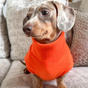 May include: A Dachshund dog wearing an orange fleece sweater. The dog has brown and gray fur and is sitting on a couch. The dog is looking to the left.