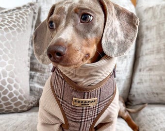 Ribbed Dachshund Jumper