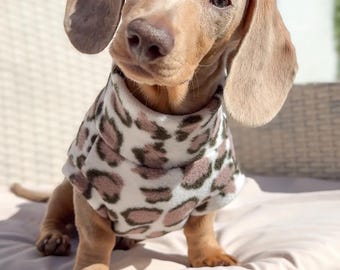 May include: A Dachshund dog wearing a white and brown leopard print sweater sits on a white cushion. The dog has brown fur and floppy ears. The dog is looking at the camera.